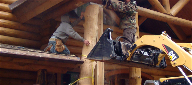 Log Home Log Replacement  Tuscarawas County, Ohio